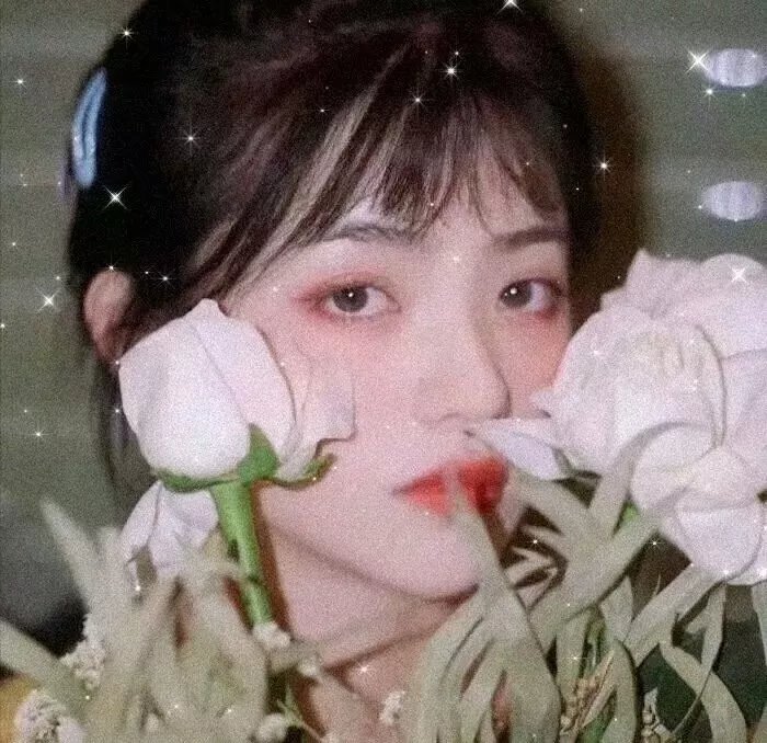 小姐姐请回答